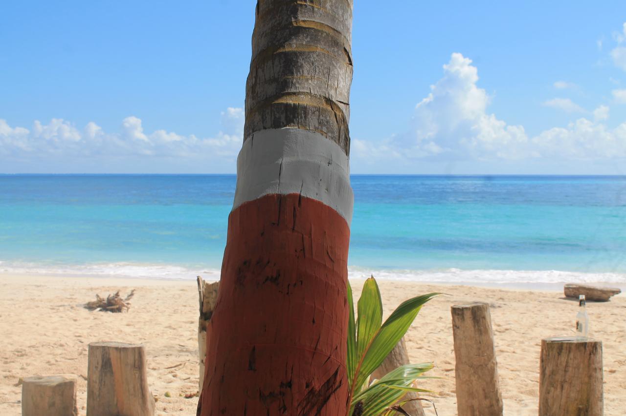 Sunny Beach Apartments San Andrés Екстериор снимка